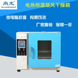 電熱鼓風(fēng)干燥箱_小烘箱恒溫鼓風(fēng)干燥箱烘干箱工業(yè)老化101/202系列