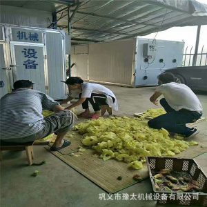 工業(yè)烘干機(jī)_兩用箱式烘干房小型熱風(fēng)循環(huán)烘干箱工業(yè)除濕