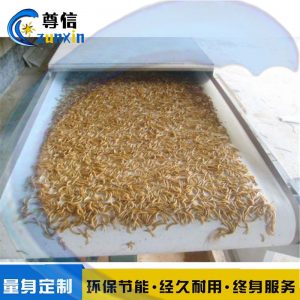湖北黑水虻干燥設(shè)備流水線式/100公斤活蟲(chóng)微波干燥膨脹隧道爐