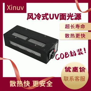 廠家專供uvled固化機(jī)風(fēng)冷式20020紫外線燈uv油墨膠水固化