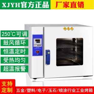 深圳工廠電熱鼓風(fēng)干燥箱琥珀加工實(shí)驗(yàn)室恒溫烤箱不銹鋼小型烘干箱